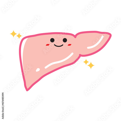 人の臓器キャラクター　健康な肝臓