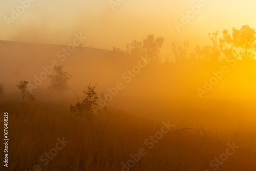 Western Australia's famous Gibb River Road at sunset with thick dust..