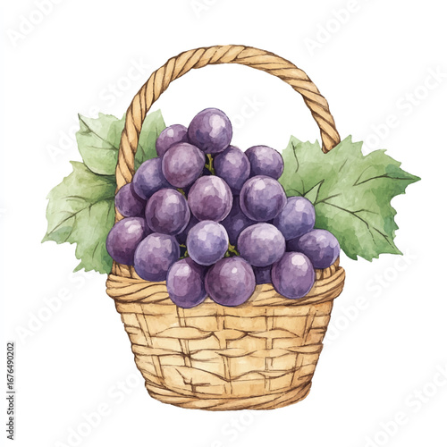 a cute Grape fruit on a basket