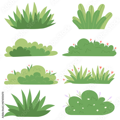 Collection of green bushes and plants with flowers