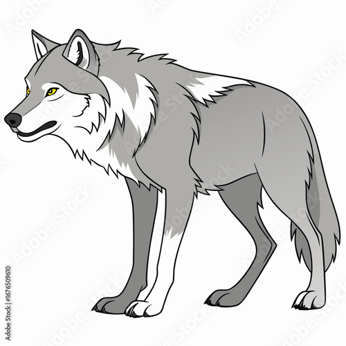 Gray wolf standing sideways with a white chest and yellow eyes canine wild animal