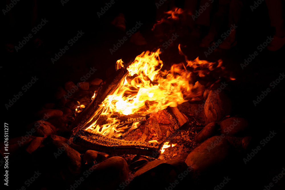 Fototapeta premium beautiful fire burning in the darkness of the night
