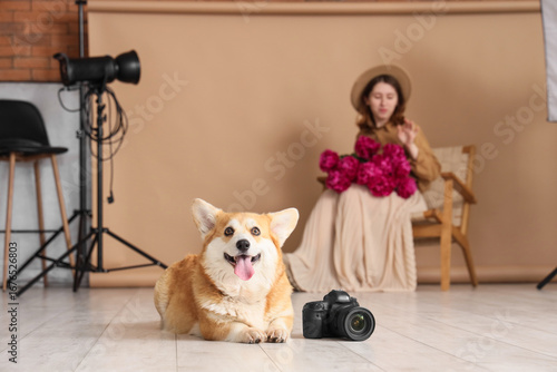 Cute Corgi dog with camera ...