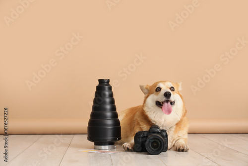 Cute Corgi dog with camera ...