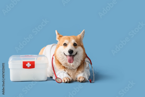 Cute Corgi dog in doctor's ...