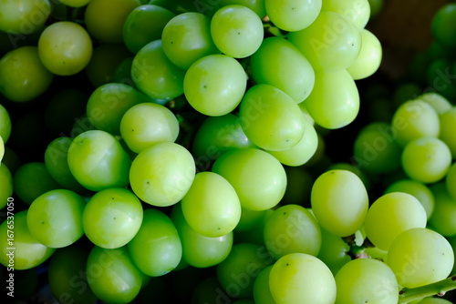 新鮮なシャインマスカットの房（クローズアップ）