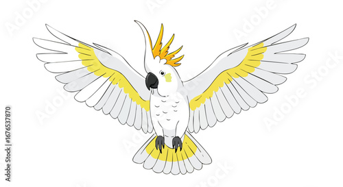 Animated White Cockatoo in Flight with Yellow Crest and Wing Highlights Illustration Displayed Centrally on a White Canvas