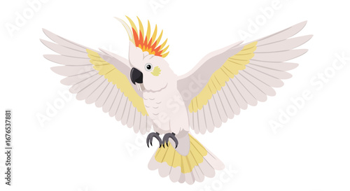 Elegant sulphur crested cockatoo in flight showcasing its distinctive plumage and outstretched wings against a pure white canvas conveying freedom