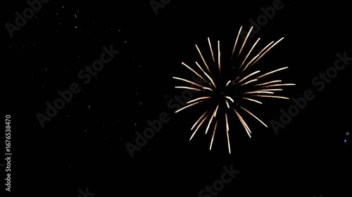 Wallpaper Mural 夏の夜空を彩る日本の花火大会 Torontodigital.ca