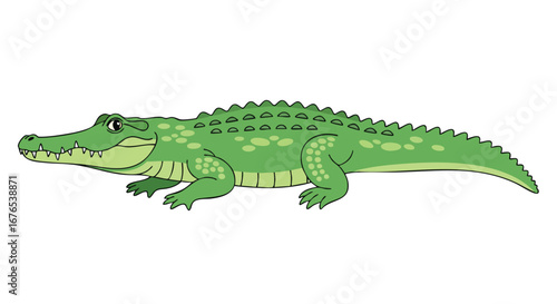 Stylized green crocodile illustration with detailed scales and outlined features isolated on a white background perfect for children projects