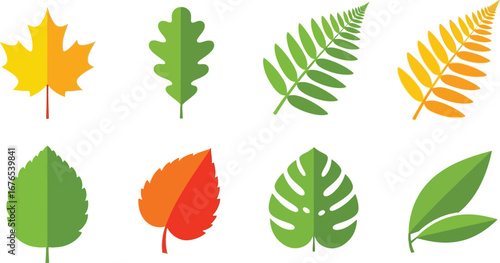 Illustration of eight different types of leaves in various colors on white