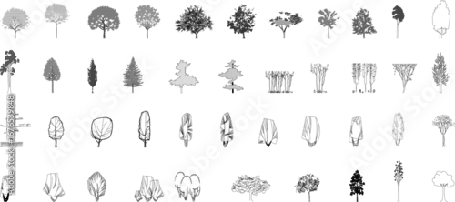 Fototapeta A black-and-white vector collection of various tree elevations with different foliage styles and shapes, perfect for architectural, landscape, and urban design projects.