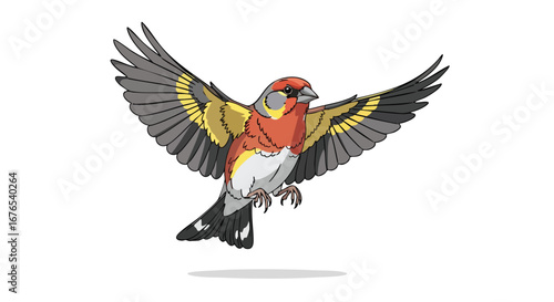 Detailed Illustration of a Colorful Bird in Flight, Depicting Wings Spread and a Graceful Airborne Movement