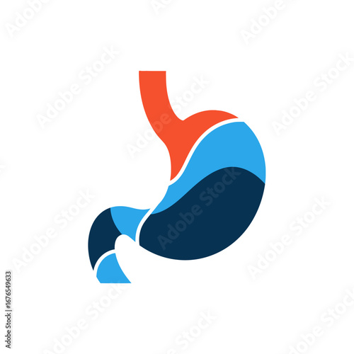 A stylized graphic icon of a human stomach with colorful red and blue wavy layers representing digestive fluids.