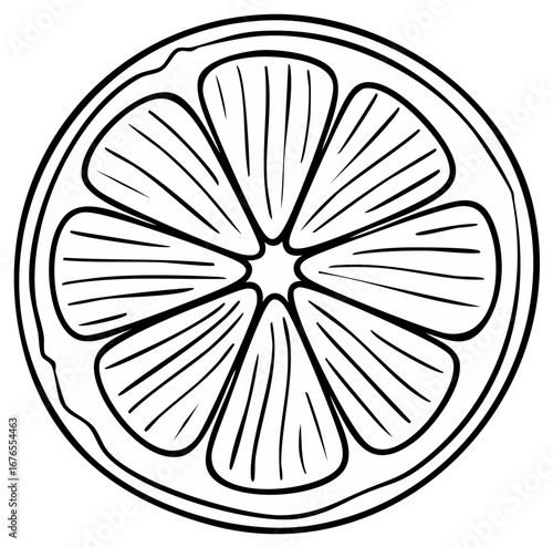 Stylized Cross-Section of Citrus Fruit Slice, Black and White Outline