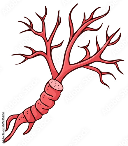 Cartoon Red Algae or Coral with Branching Structure and Stem Vector Graphic