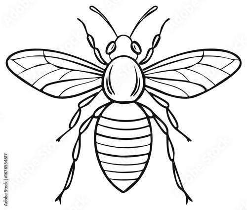 Detailed Black and White Line Drawing of a Striped Honeybee with Wings and Antennae