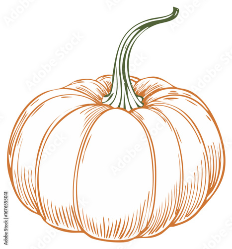 Fall Harvest: Single pumpkin sketch, orange outline, green stem, Thanksgiving vegetable, season graphic, autumn squash food art