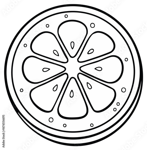 Stylized Black and White Outline Drawing of a Round Citrus Fruit Slice