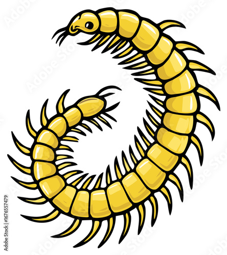 Stylized yellow centipede cartoon illustration. Creepy crawly insect with many legs in a curved pose.