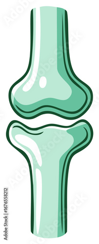 Simple cartoon illustration of a human bone joint for medical and anatomical concepts