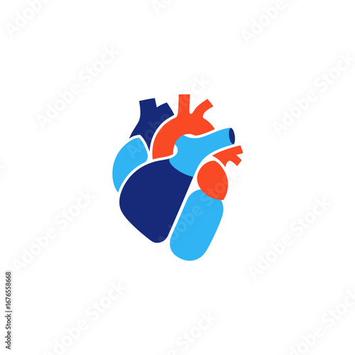 A stylized graphic icon of a human heart with red and blue vessels, representing anatomy and cardiology.