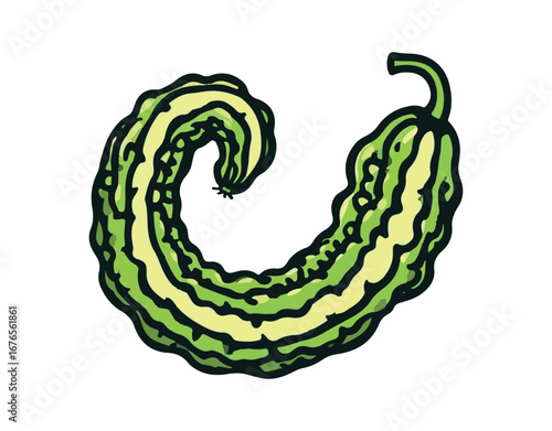 Bitter melon sketch illustration and graphic

