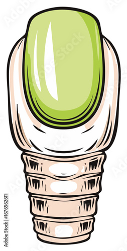 Illustration of a Human Larynx Showing Cartilage and Vocal Cords