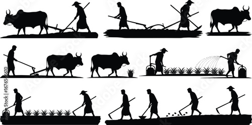Farmer silhouette, traditional agriculture, ox plowing field, watering plants, rural farming, crop cultivation, village life, agricultural work, sustainable farming