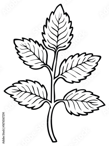 Minimalist black outline of a leafy plant sprig with detailed veins and serrated edges