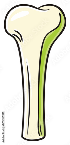 Cartoon Illustration of a Leek Vegetable with Green Stem and White Bulb
