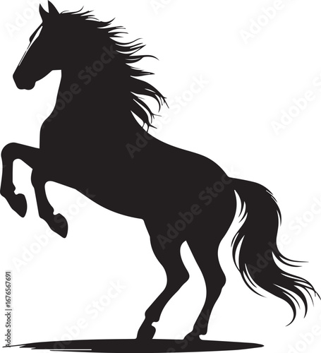 horse silhouette isolated on white