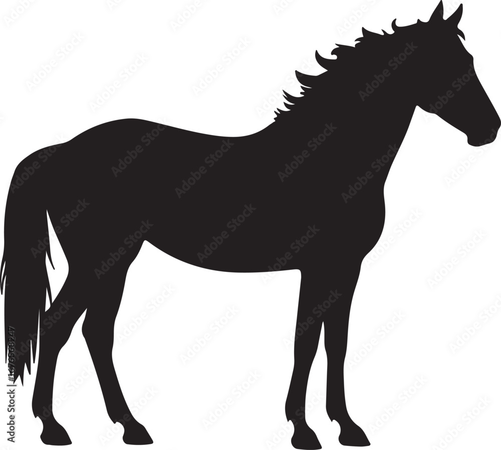 Obraz premium horse silhouette vector