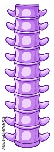 Illustration of the Spine's Structure, Human Anatomy, Bones, Spinal Cord, Vertebrae Stack, Cartoon Style Medical Diagram