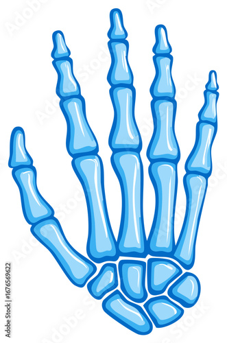 Cartoon blue skeleton hand illustration with bones and fingers for medical concept.