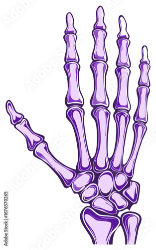 Stylized Human Hand Bones, Purple Anatomical Skeleton Illustration for Halloween and Medical Concepts, Skeletal Hand with Fingers
