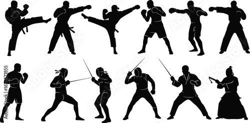 Martial arts silhouettes, karate fighters, boxing poses, fencing duel, kendo practice, combat training, self defense, sports illustration, warrior fight