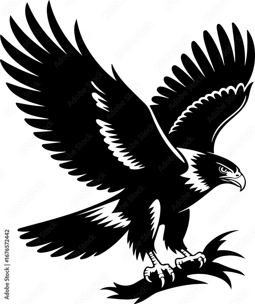 Obraz premium American Hawk Vector Art