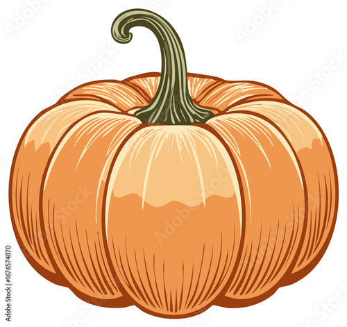 Autumn Pumpkin Illustration in Retro Style with Curled Vine.