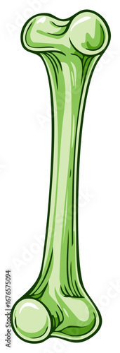 Cartoon style illustration of a green bone isolated on white background