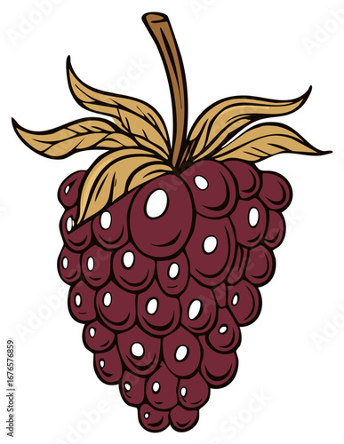 Stylized illustration of a ripe blackberry with stem and leaves