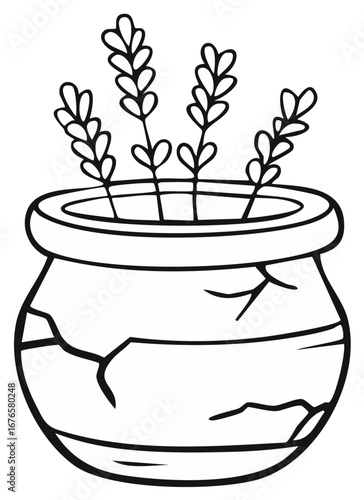 Cracked Pot with Sprouts: Hand Drawn Still Life Illustration in Black and White