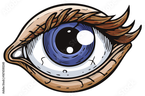 Vibrant Blue Eye Illustration with Detailed Eyelashes Eyelids and Expressive Gaze