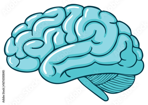 Stylized Human Brain Illustration for Medical or Educational Uses