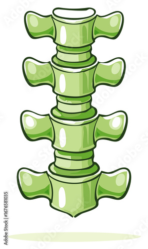 Cartoon green spine section with vertebral bones and discs illustration