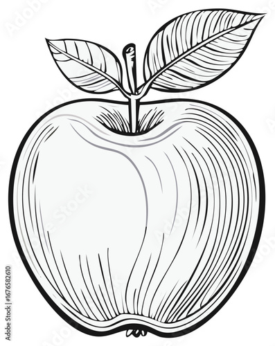 Engraved Style Apple Illustration with Leaves Stem and Outline
