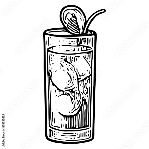 Garnished Highball Glass for Cocktail Bar Illustration Art