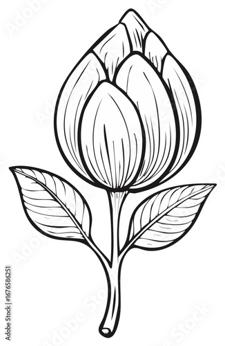 Black and white illustration of a blooming artichoke plant with leaves