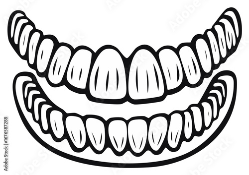 Vector Jaw Outline Depicts Upper and Lower Teeth for Dental Illustration or Graphic Designs