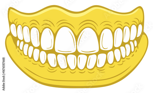 Cartoon Illustration of a Full Set of Teeth and Gums Showing Dental Anatomy and Oral Health